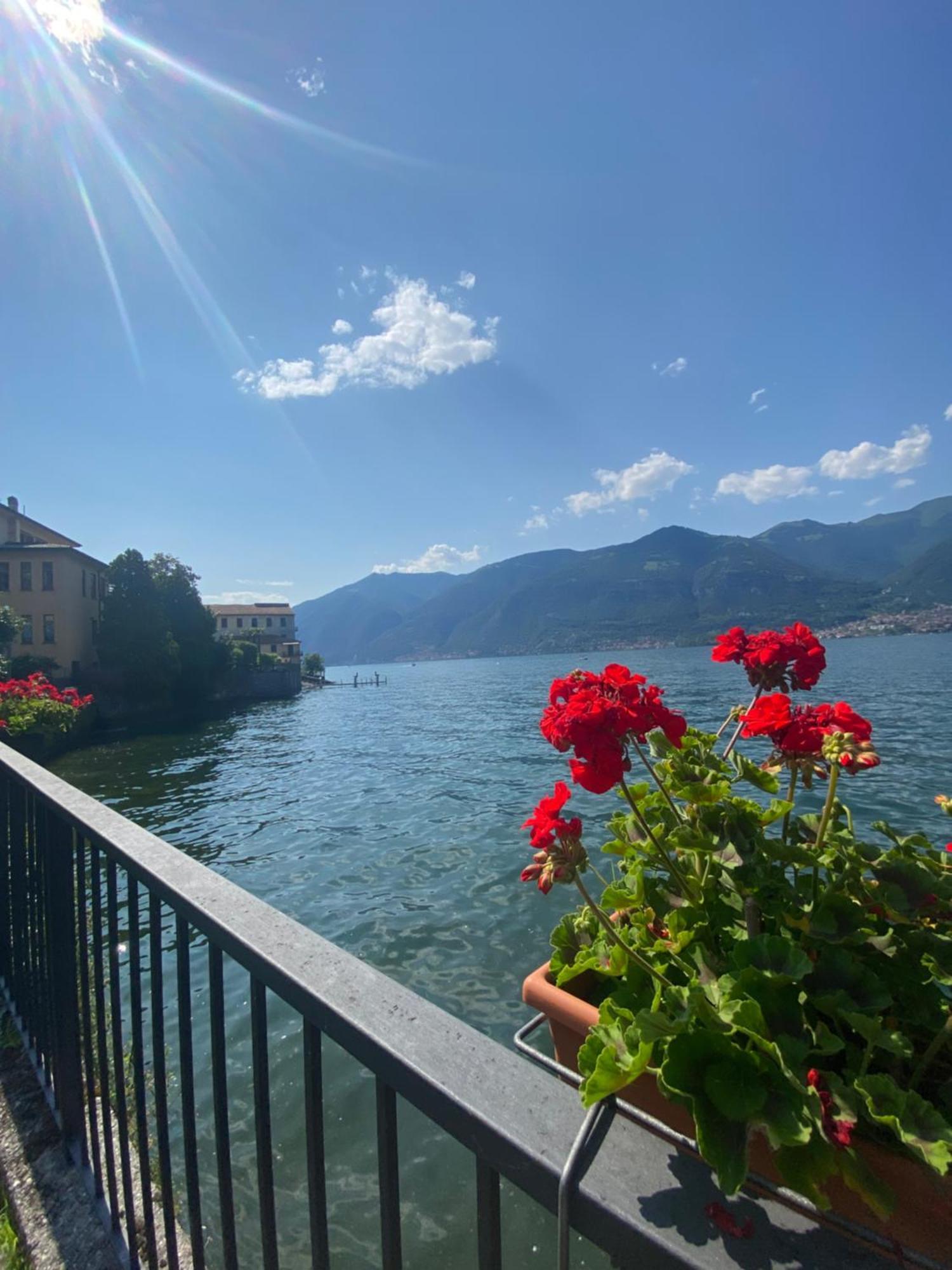 Peonia Apartment - Appartamento Vista Lago Лецено Екстериор снимка
