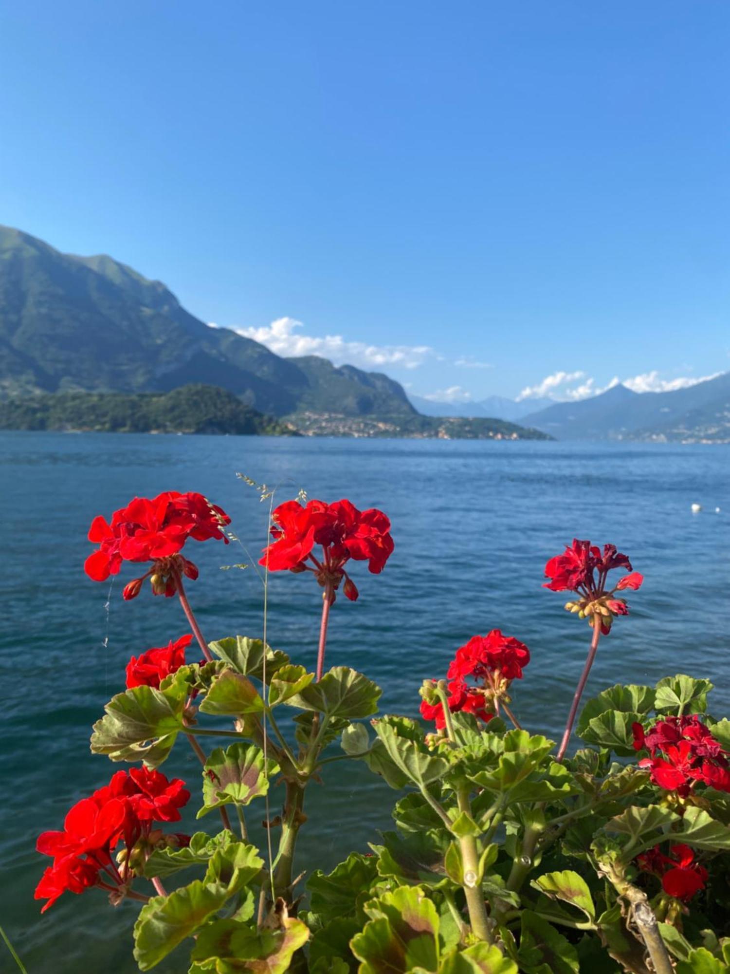 Peonia Apartment - Appartamento Vista Lago Лецено Екстериор снимка