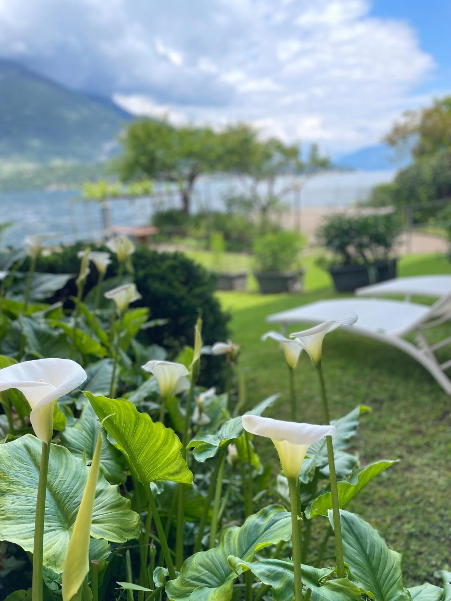 Peonia Apartment - Appartamento Vista Lago Лецено Екстериор снимка